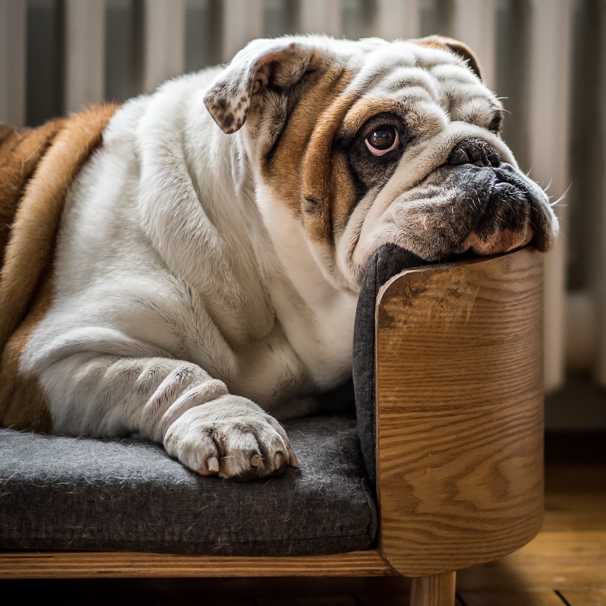 Sport für Sportmuffel und Sesselpupser « Gudrun Monika Höhne